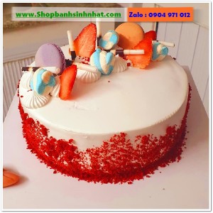 Bánh Sinh Nhật Tiramisu - T355